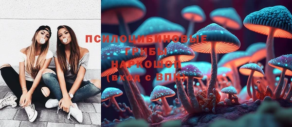 спайс Инсар