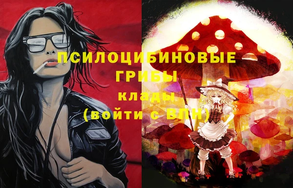 спайс Инсар