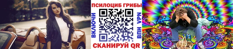 Псилоцибиновые грибы Cubensis  Курганинск 