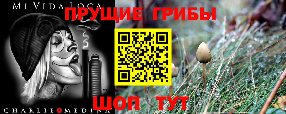 Галлюциногенные грибы Magic Shrooms Курганинск