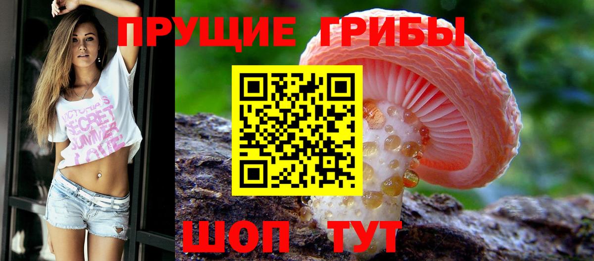 Псилоцибиновые грибы MAGIC MUSHROOMS  сколько стоит  Курганинск 