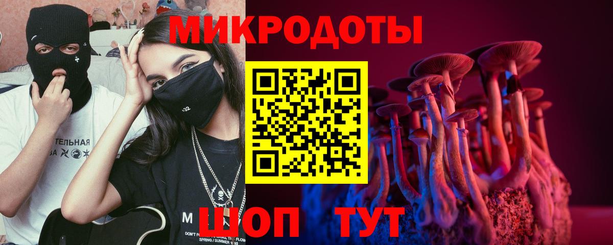 Галлюциногенные грибы Psilocybe Курганинск