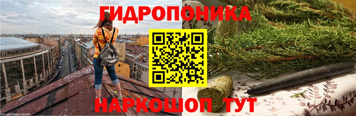 МАРИХУАНА сатива Курганинск